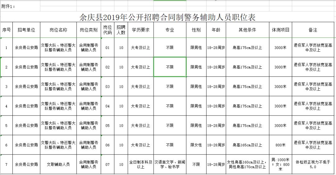 公办大专教师招聘