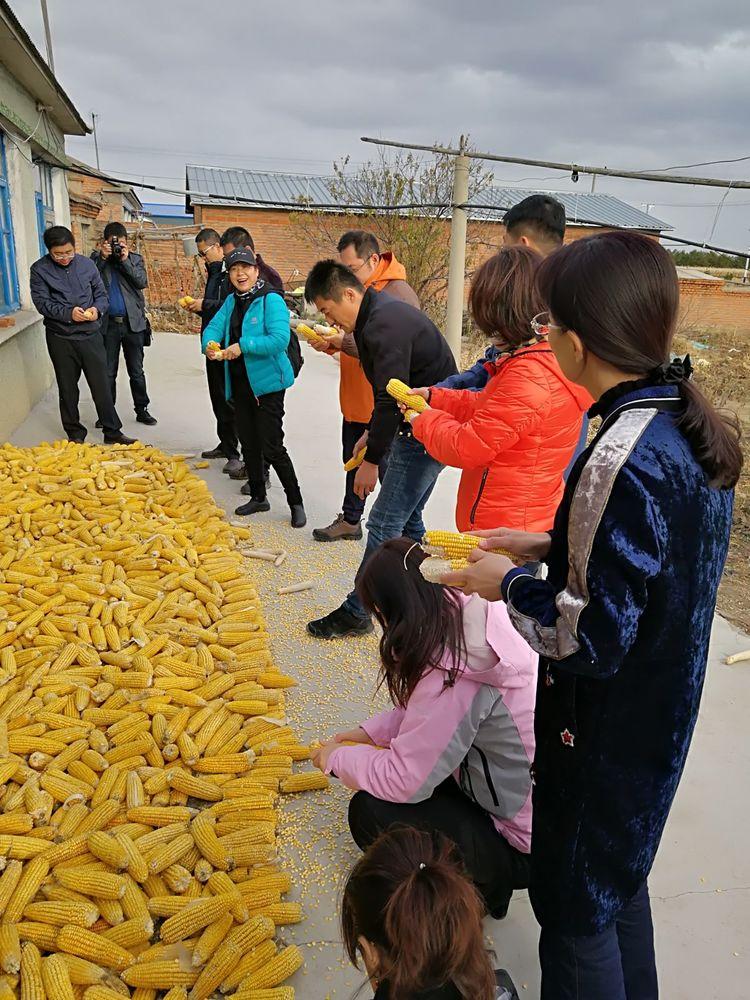 急招学员启航新征程，呼唤新生力量加入！