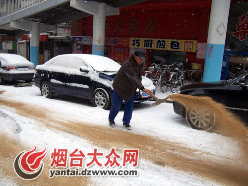 烟台鹅毛大雪纷飞，自然之美盛宴开启