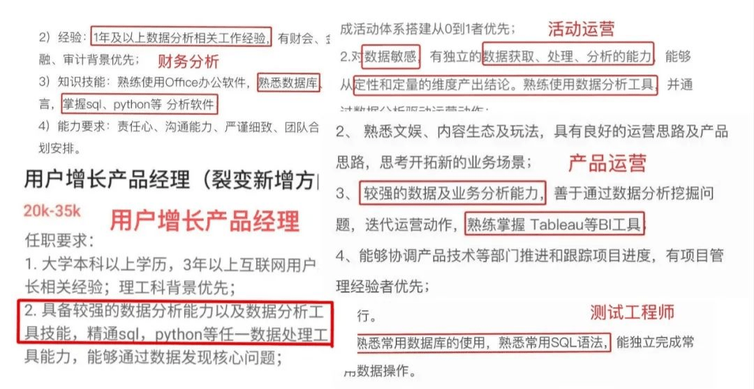 数据分析师公司招聘全解析