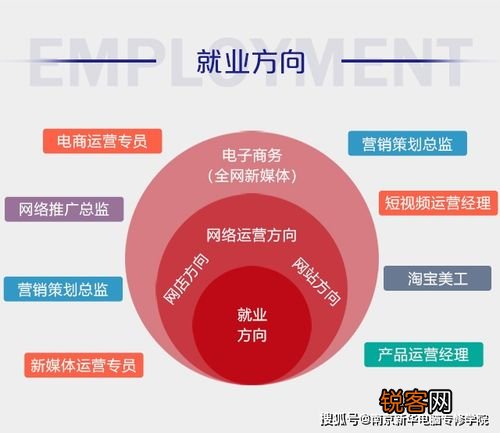 电商核心四大岗位解析