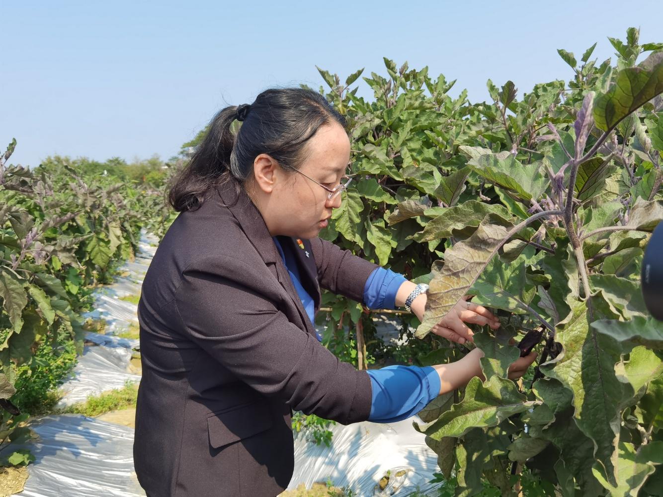 土地开发岗位招聘，探寻人才交汇点，共筑未来新篇章