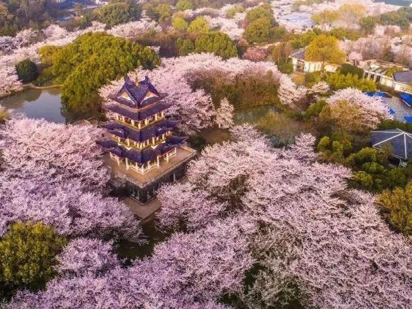 房地产策划师报名入口指南