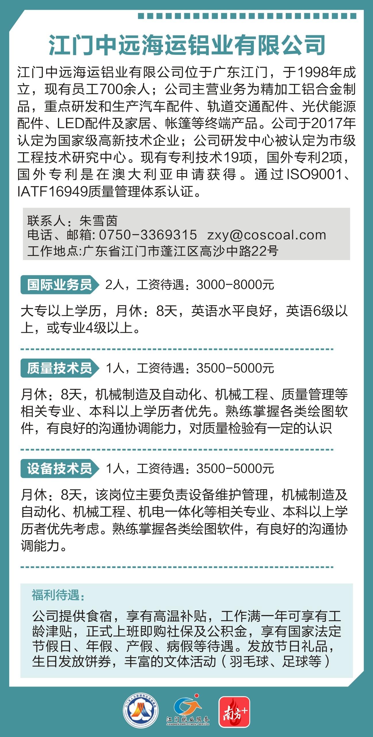 海运物流招聘指南，构建高效专业团队的关键要素