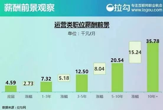 物流数据专员职责概览，数据分析、管理与应用